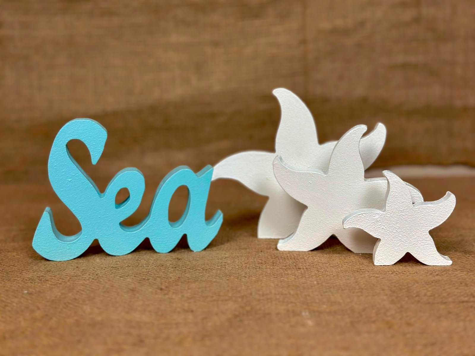sea-set-of-shells
