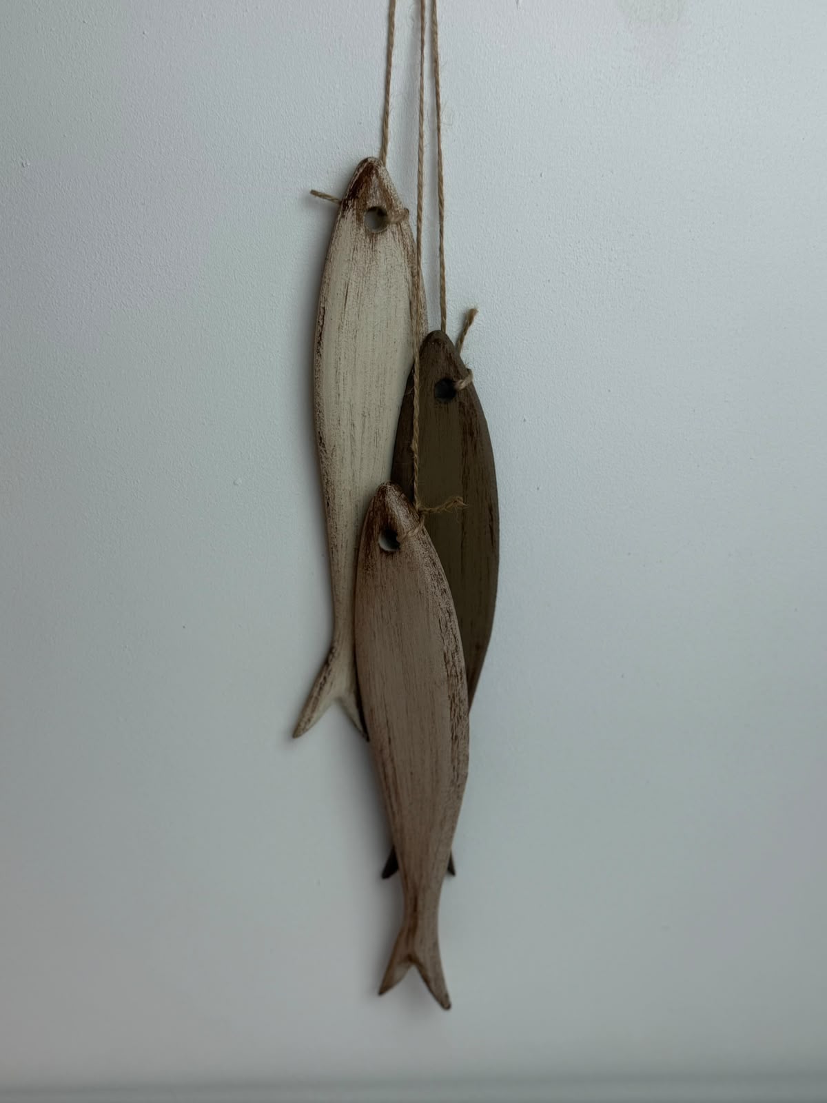 set-of-fishes-2