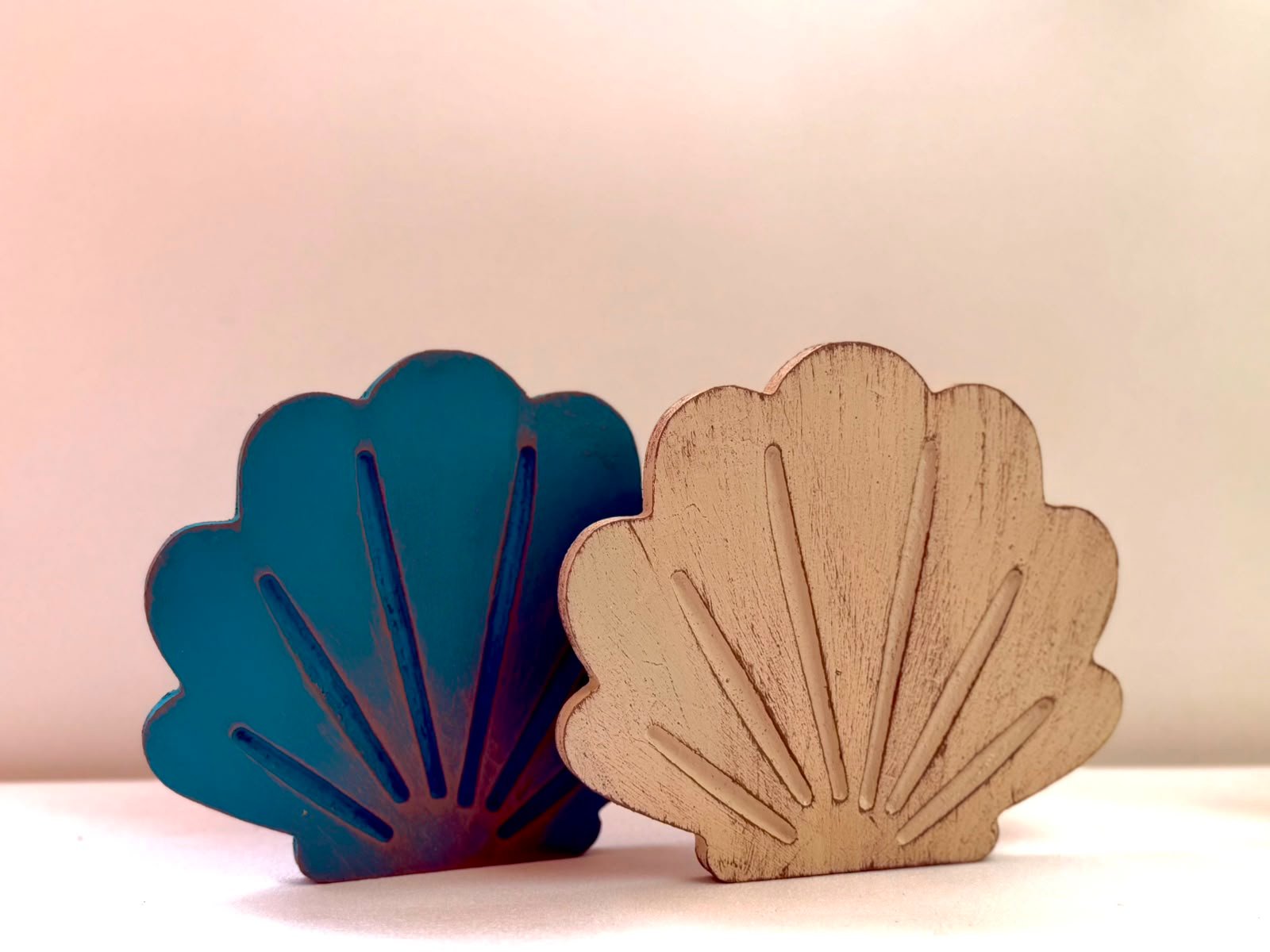 set-of-shells-2